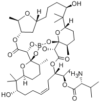 Boromycin