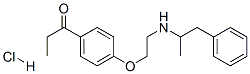1-[4-[2-[(1-methyl-2-phenylethyl)amino]ethoxy]phenyl]propan-1-one hydrochloride 结构式