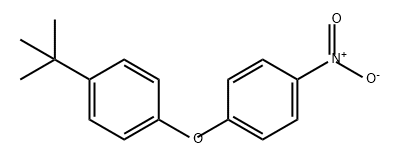 4-硝基-4'-叔丁基二苯醚 结构式