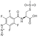 4-Azido-2,3,5,6-tetrafluorobenzamidocysteine Methanethiosulfonate 结构式