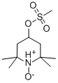 2,2,6,6-四甲基-4-(甲基磺氧基)-1-哌啶氧自由基 结构式