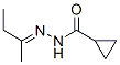 Cyclopropanecarboxylic acid, (1-methylpropylidene)hydrazide (9CI) 结构式