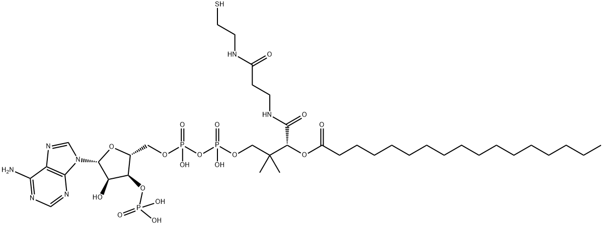 十七酰辅酶A 结构式