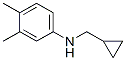 Benzenamine, N-(cyclopropylmethyl)-3,4-dimethyl- (9CI) 结构式