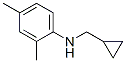 Benzenamine, N-(cyclopropylmethyl)-2,4-dimethyl- (9CI) 结构式