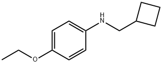 Benzenamine, N-(cyclobutylmethyl)-4-ethoxy- (9CI) 结构式