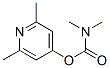 N,N-Dimethylcarbamic acid 2,6-dimethyl-4-pyridyl ester 结构式