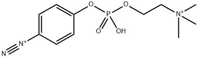 p-Diazonium Phenylphosphorylcholine 结构式