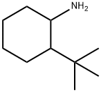 2-叔-丁基环己烷胺 结构式