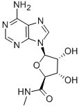 5'-N-METHYLCARBOXAMIDOADENOSINE