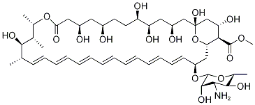 两性霉素B甲酯90% 结构式