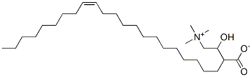 erucylcarnitine 结构式