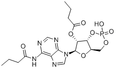 二丁酰环磷腺甙 结构式