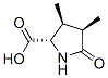 (2S,3S,4R)-3,4-二甲基-5-氧吡咯烷-2-羧酸 结构式