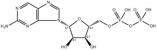 2-Aminopurine ribodylic acid