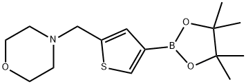 4-([4-(4,4,5,5-TETRAMETHYL-1,3,2-DIOXABOROLAN-2-YL)THIEN-2-YL]METHYL)MORPHOLINE 结构式