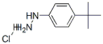 4-叔丁基苯肼盐酸盐 结构式