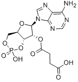 2'-O-MONOSUCCINYLADENOSINE 3':5'-CYCLIC MONOPHOSPHATE 结构式