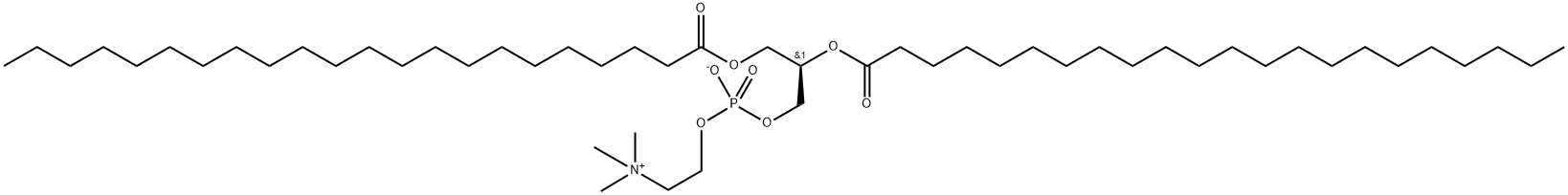 1,2-双二十二碳酰基-SN-甘油-3-磷酰胆碱 结构式