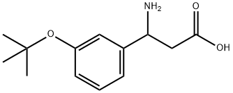 3-氨基-3-(3-叔丁氧基苯基)丙酸 结构式