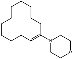 4-(Cyclododec-1-en-1-yl)morpholine