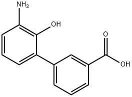 3'-氨基-2'-羟基-[1,1'-联苯]-3-甲酸 结构式