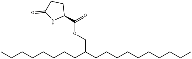 辛基十二醇 PCA 酯 结构式