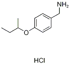 (4-BUTAN-2-YLOXYPHENYL)METHANAMINE,HYDROCHLORIDE 结构式