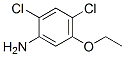 Benzenamine, 2,4-dichloro-5-ethoxy- (9CI) 结构式