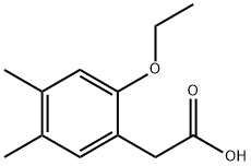 Benzeneacetic acid, 2-ethoxy-4,5-dimethyl- (9CI) 结构式