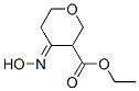 2H-Pyran-3-carboxylicacid,tetrahydro-4-(hydroxyimino)-,ethylester(9CI) 结构式