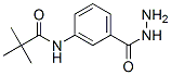 Benzoic acid, 3-[(2,2-dimethyl-1-oxopropyl)amino]-, hydrazide (9CI) 结构式