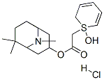 2-Thiopheneacetic acid, alpha-hydroxy-alpha-2-thienyl-, (1R,3R,5R)-6,6 ,9-trimethyl-9-azabicyclo(3.3.1)non-3-yl ester, hydrochloride, rel- 结构式