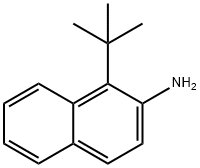 1-(叔丁基)萘-2-胺 结构式
