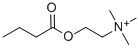 butyrylcholine 结构式