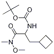 [1-(CyclobutylMethyl)-2-(MethoxyMethylaMino)-2-oxoethyl]-carbaMic Acid 1,1-DiMethylethyl Ester 结构式