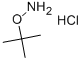 邻叔丁基羟胺盐酸盐 结构式