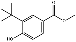 甲基4-羟基-3-(2-甲基-2-丙基)苯甲酸酯 结构式