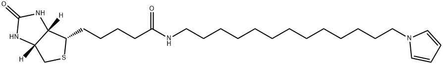 1H-Thieno[3,4-d]iMidazole-4-pentanaMide, hexahydro-2-oxo-N-[13-(1H-pyrrol-1-yl)tridecyl]-, (3aS,4S,6aR)- 结构式