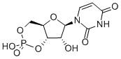 Uridine 3',5'-cyclic monophosphate 结构式