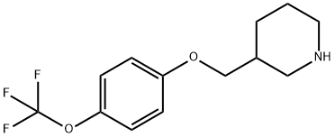 3-([4-(TRIFLUOROMETHOXY)PHENOXY]METHYL)PIPERIDINE 结构式