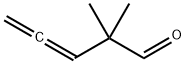 2,2-dimethylpenta-3,4-dienal 结构式