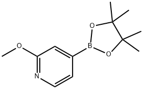2-甲氧基吡啶-4-戊酰硼酸 结构式