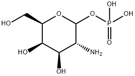 D-Galactosamine-1-phosphate