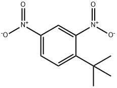 2,4-二硝基-1-叔丁基-苯 结构式