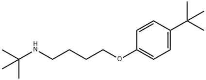 N-(TERT-BUTYL)-4-(4-TERT-BUTYLPHENOXY)-1-BUTANAMINE 结构式