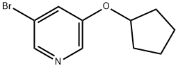 3-溴-5-环戊氧基吡啶 结构式