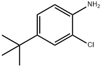 4-叔丁基-2-氯苯胺 结构式