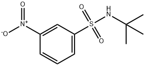 N-叔丁基-3-硝基苯磺酰胺 结构式