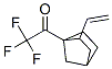 Ethanone, 1-(2-ethenylbicyclo[2.2.1]hept-1-yl)-2,2,2-trifluoro- (9CI) 结构式